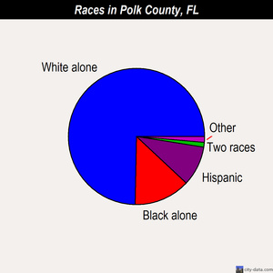 Polk County races chart