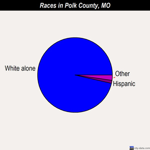 Polk County races chart