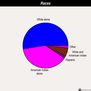 Prince of Wales-Outer Ketchikan Census Area races chart