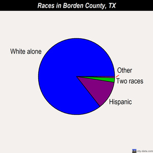 Borden County races chart
