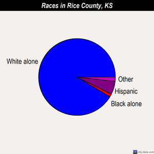 Rice County races chart