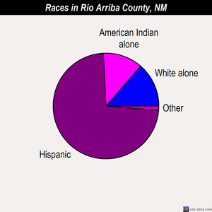 Rio Arriba County races chart
