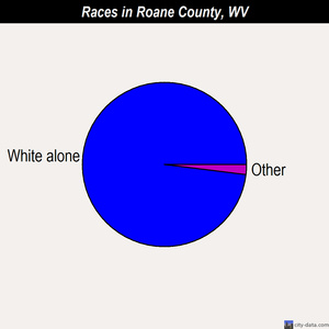 Roane County races chart