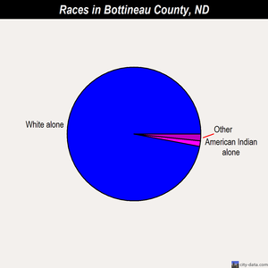 Bottineau County races chart