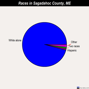 Sagadahoc County races chart