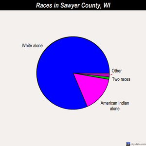 Sawyer County races chart