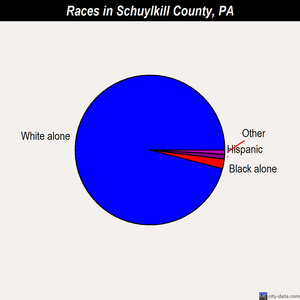 Schuylkill County races chart