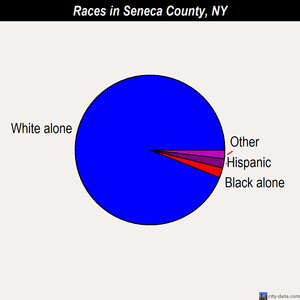 Seneca County races chart