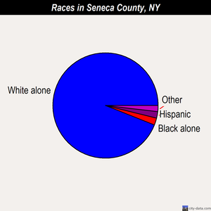 Seneca County races chart