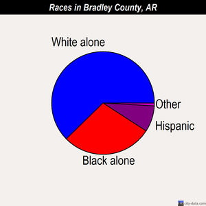 Bradley County races chart