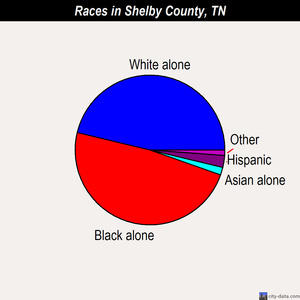 Shelby County races chart