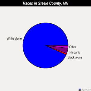 Steele County races chart