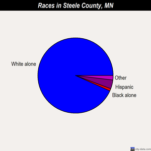 Steele County races chart