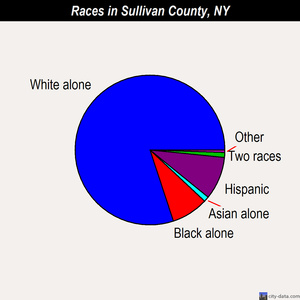 Sullivan County races chart