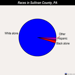 Sullivan County races chart