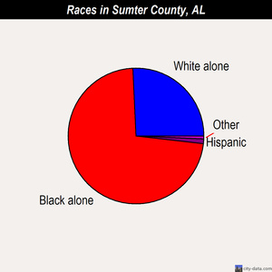 Sumter County races chart