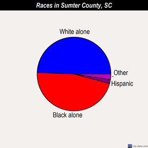 Sumter County races chart