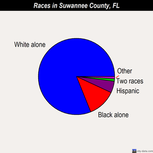 Suwannee County races chart