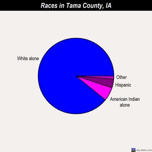 Tama County races chart