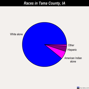 Tama County races chart