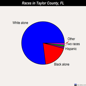 Taylor County races chart