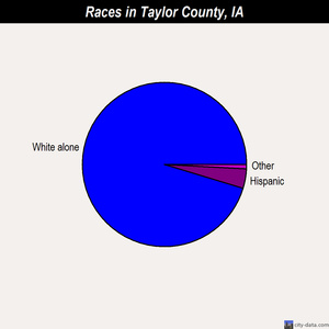 Taylor County races chart