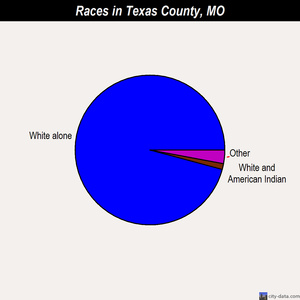 Texas County races chart