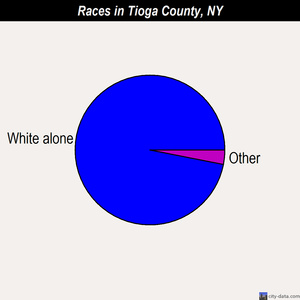 Tioga County races chart