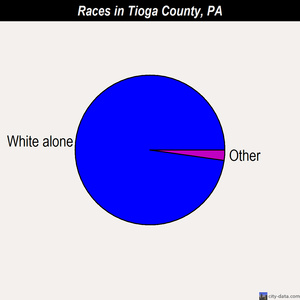 Tioga County races chart