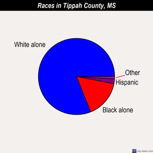 Tippah County races chart
