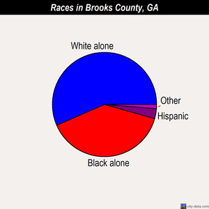 Brooks County races chart
