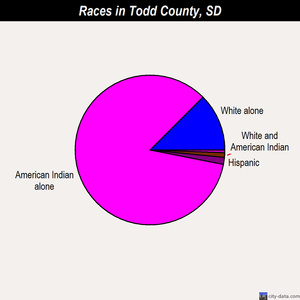 Todd County races chart