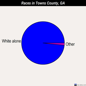 Towns County races chart