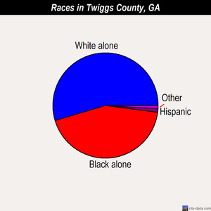 Twiggs County races chart