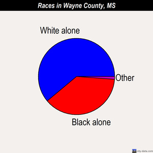 Wayne County races chart