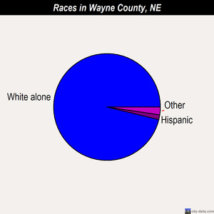 Wayne County races chart