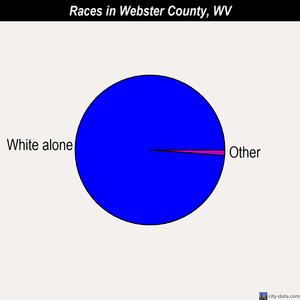 Webster County races chart