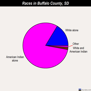 Buffalo County races chart