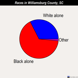 Williamsburg County races chart
