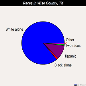 Wise County races chart