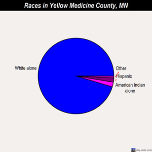 Yellow Medicine County races chart