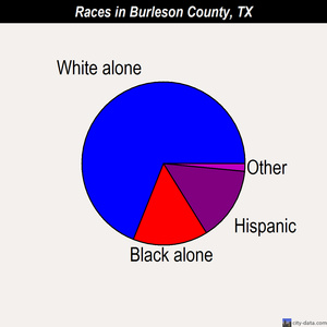 Burleson County races chart