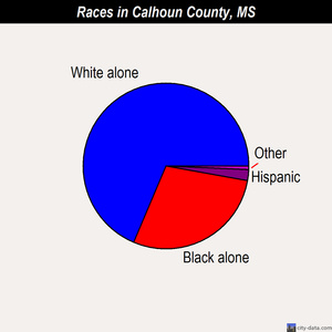 Calhoun County races chart