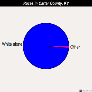 Carter County races chart