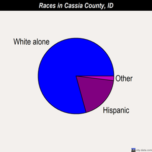 Cassia County races chart
