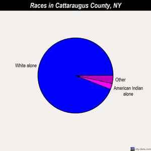 Cattaraugus County races chart