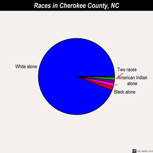 Cherokee County races chart