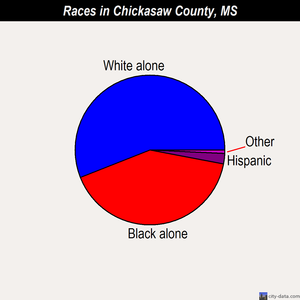 Chickasaw County races chart