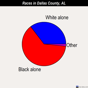 Dallas County races chart