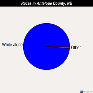 Antelope County races chart